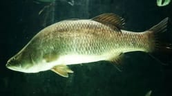 Related article image