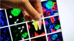 Related article image