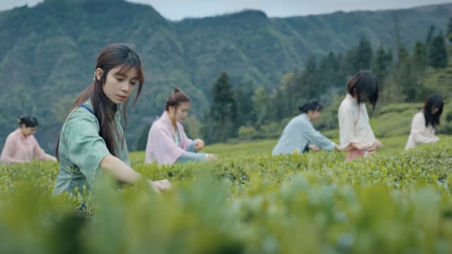 中国茶文化纪录⽚《叶之灵》狮城办世界⾸映，4月11日起SFS Somerset正式公映 