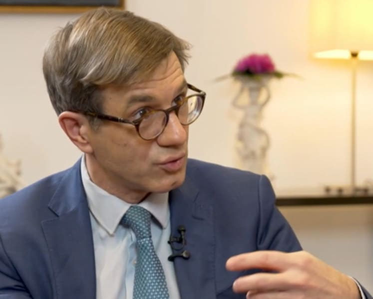 Malaysia has potential to be a global leader in rare earth production: French special envoy