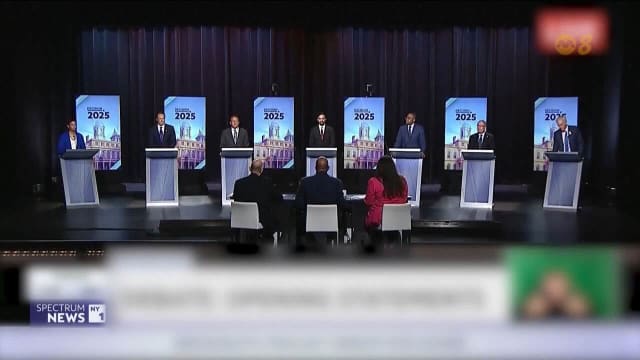 美国纽约市长选举初选 共11人参选