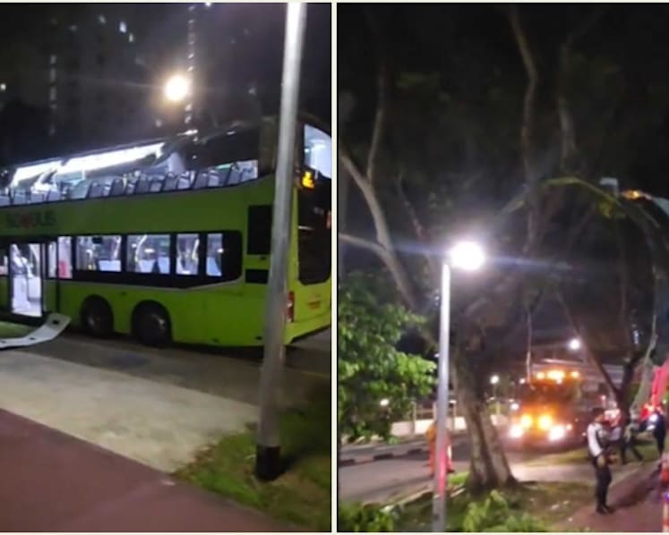 Passenger injured after double-decker bus crashes into tree branches in Bishan