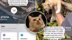 Related article image