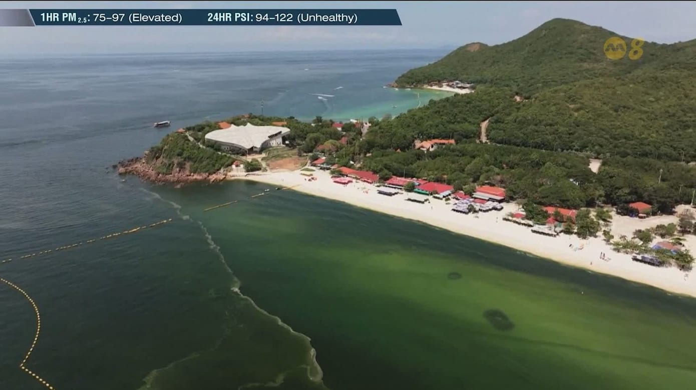 泰国格兰岛现绿潮海水变绿 游客忧水质不敢下水