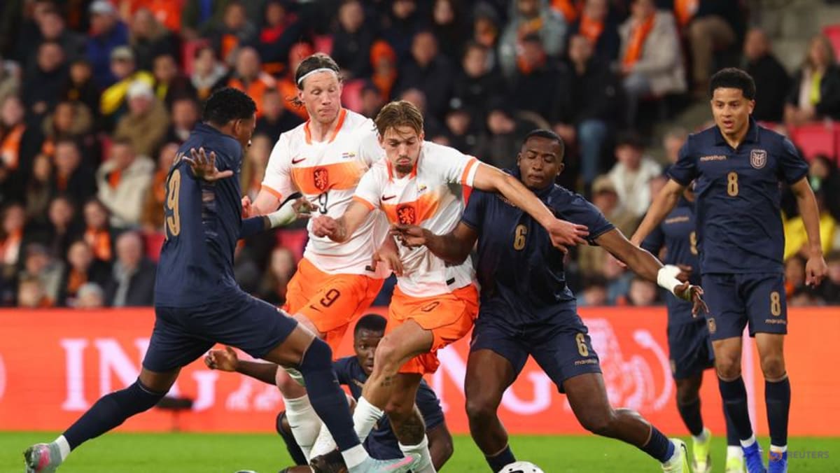 Dutch survive early red card to hold out for draw with Ecuador