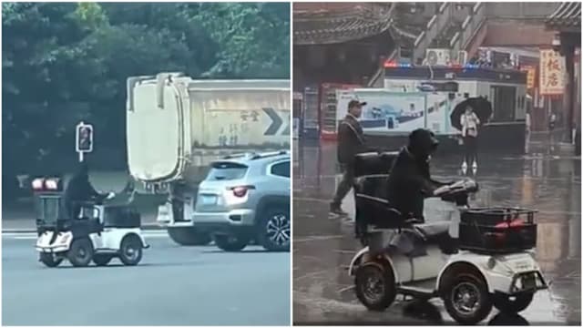 中国拉布拉多“独自开车”上路引热议 交警：绝对不允许