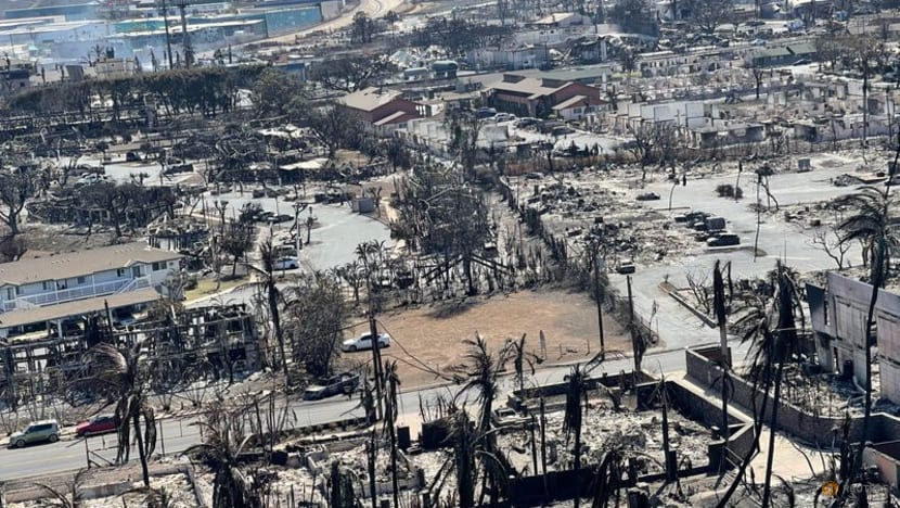 How did the Maui fire start? Why Hawaii’s power lines are suspect