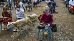 Related article image