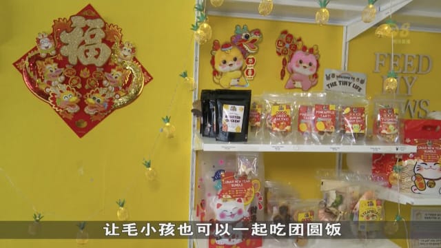 农历新年将至 业者为宠物推出一系列与龙相关产品