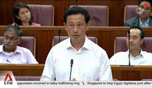 Singaporeans expect different perspectives from the opposition as politics mature: Ong Ye Kung