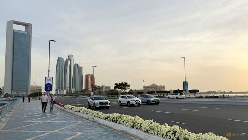 UAE foils cyber attacks, state news agency says