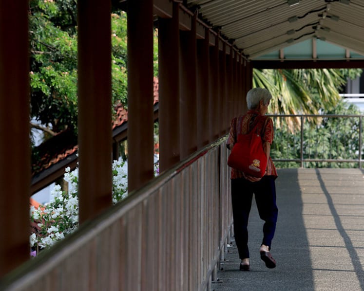 Silver Support criteria should exclude housing type: MPs