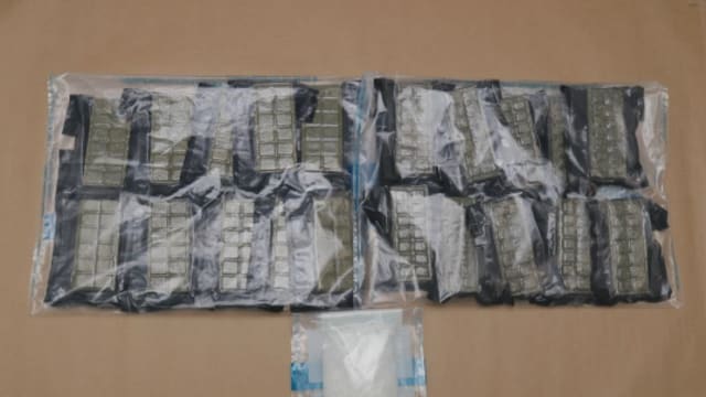 背包内藏逾7万元毒品闯兀兰关卡 两名马国男女落网