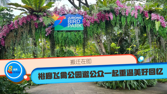 搬迁在即 裕廊飞禽公园邀公众一起重温美好回忆