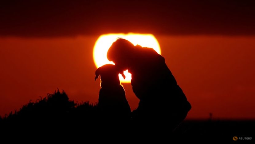 Genetic study identifies earliest-known dog, dating to 15,800 years ago