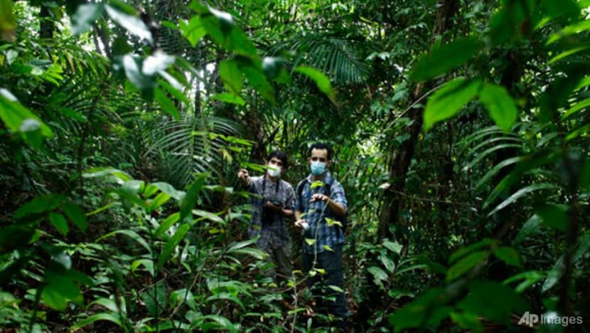 Scientists get creative to carry on research during COVID-19 pandemic