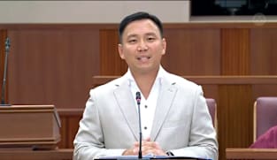 Goh Pei Ming on safeguards against online social media posts targeting Singapore's multiculturalism 