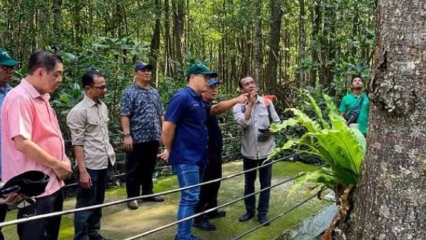 Johor peruntuk RM10 juta naik taraf 6 taman negara