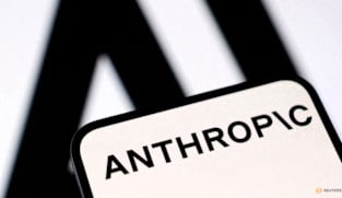 Anthropic’s Mythos model found vulnerabilities in classified US government systems, official says