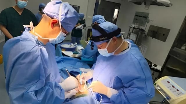 猪肝移植人类活体取得重大突破 中国71岁病患已可自由走动