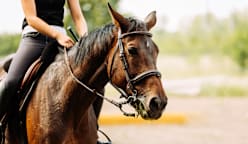 "என் நண்பர்களுக்கு ஏதும் ஆனால்..." - அநீதியைத் தட்டிக்கேட்ட சிறுமி!