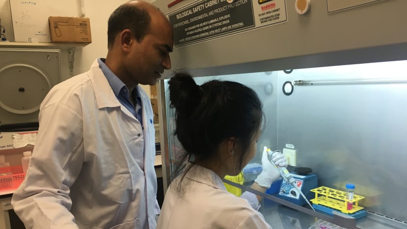 A*Star scientists find new way to tackle drug-resistant tuberculosis