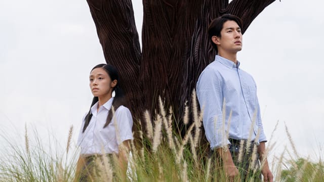 《七天》　孙政男儿身、女灵魂