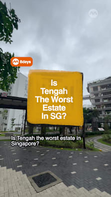 Any Tengah defenders out there? #8daysg #8dayssgtrending #tengah #fypsg #singapore 