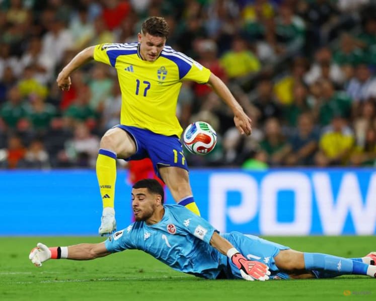 Elite Swedish strike force delivers Tunisian defence a reality check