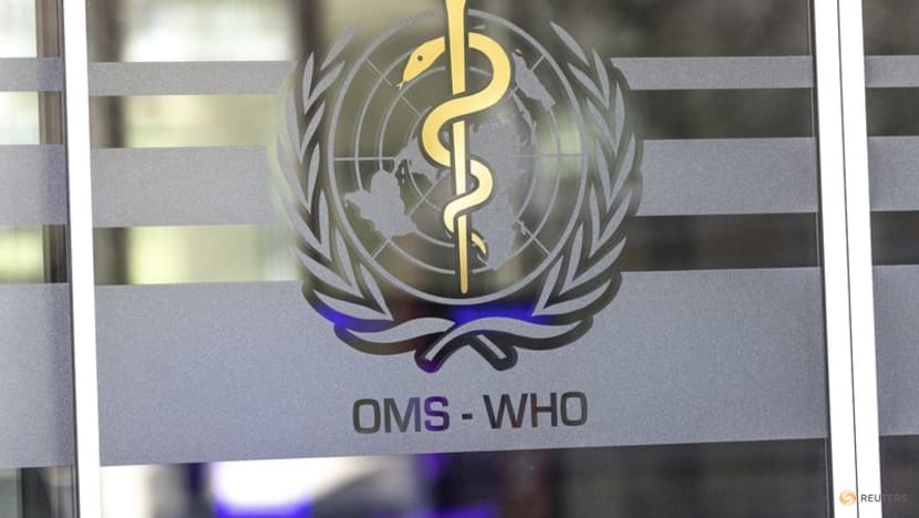 Commentary: Despite improved WHO regulations, we are ill-prepared for another pandemic like COVID-19 Commentary: Despite improved WHO regulations, we are ill-prepared for another pandemic like COVID-19