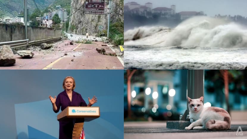 Daily round-up, Sep 5: Deadly quake hits Sichuan province; Typhoon Hinnamnor approaches South Korea, Japan; Liz Truss to be new British PM Daily round-up, Sep 5: Deadly quake hits Sichuan province; Typhoon Hinnamnor approaches South Korea, Japan; Liz Truss to be new British PM