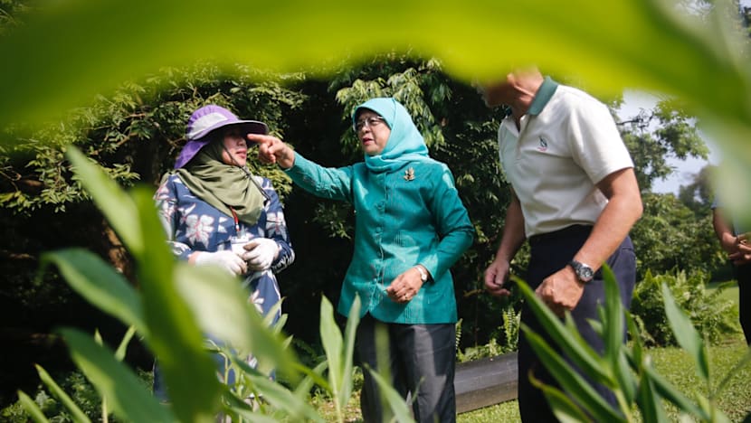 New volunteer gardening initiative to make Istana grounds more accessible