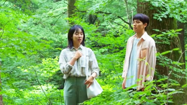 森林（第16集）：英彩看清内心