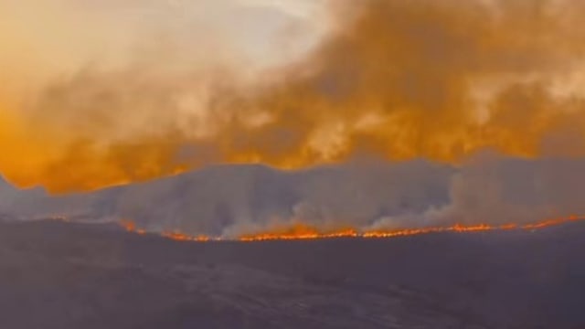 中国贵州多地森林大火  两消防员殉职 