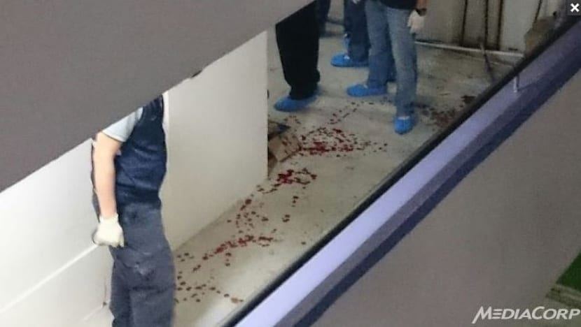 Woman charged for Yishun flat death