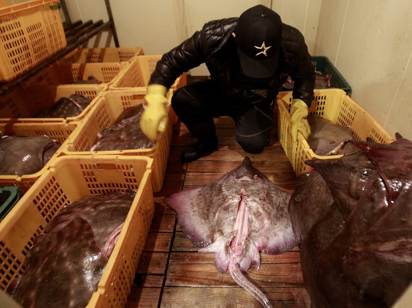 South Koreans crave Asia’s smelliest fish