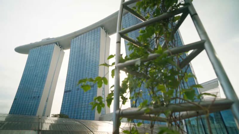 Singapore's Underground Cooling System