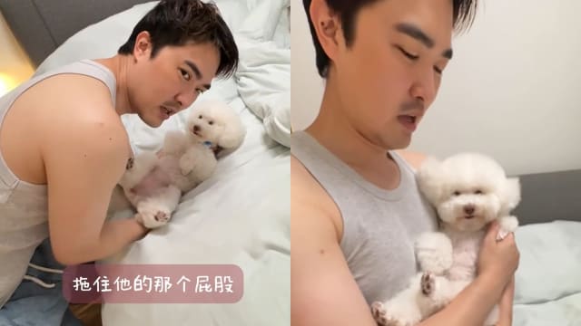 新手爸爸教学抱新生儿，李腾拿爱犬示范！
