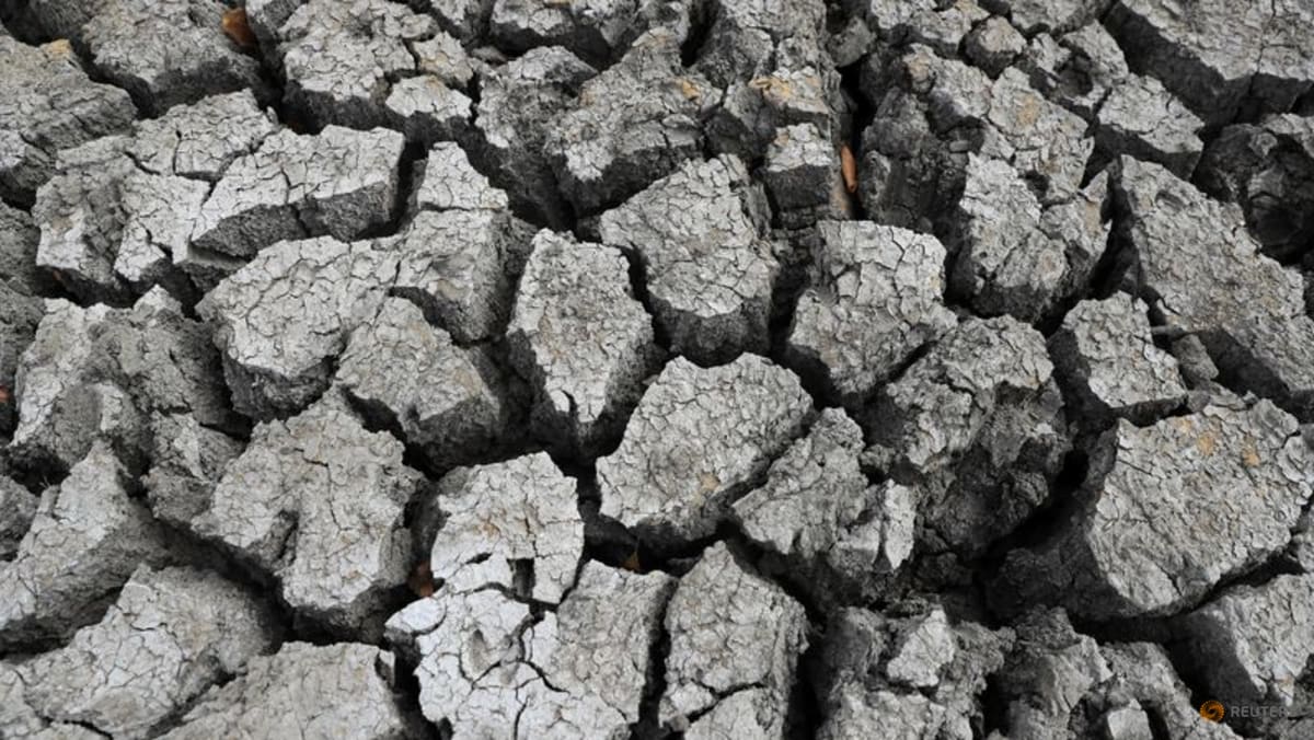 'Super El Nino' raises fears for Asia reeling from Middle East conflict