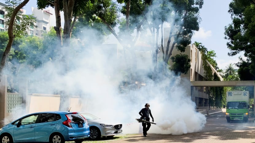 More dengue cases expected in 2022; continued work-from-home arrangements a factor: NEA 