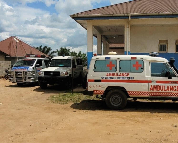 Ebola and hantavirus outbreaks sign of our 'dangerous' times: WHO