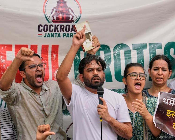 India's 'cockroach' youth movement stages first street protest in New Delhi