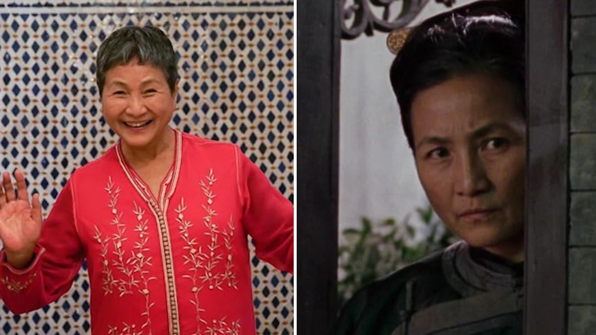 Late Cheng Pei Pei's Family Fulfils Her Final Wish By Donating Her Brain For Medical Research
