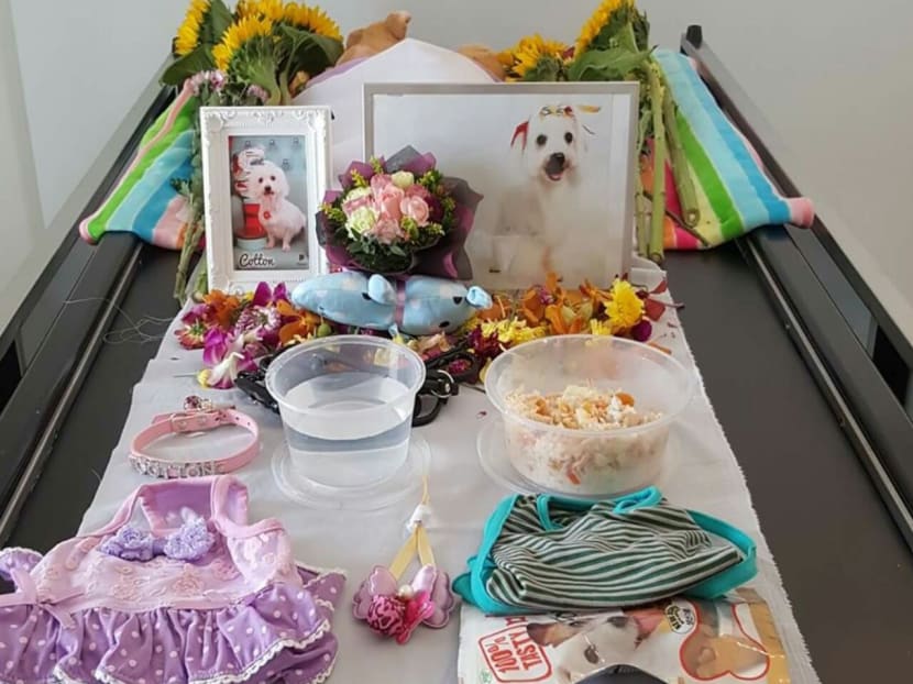 Saying goodbye: Owners go the extra mile for their pet’s final journey