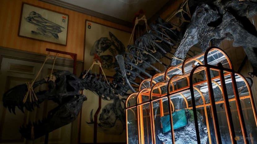 Dinosaur collagen used to create one-of-a-kind handbag