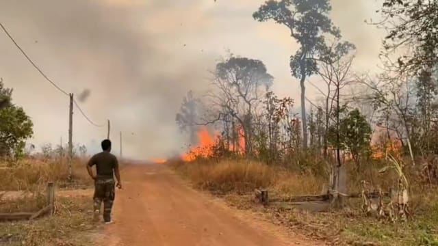 泰国指控柬埔寨士兵在边境地区制造林火
