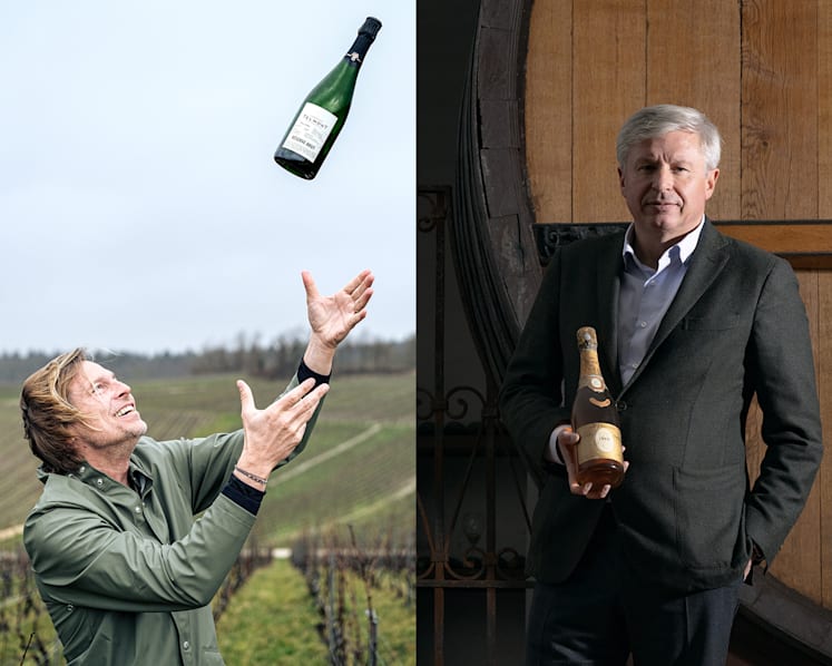 How champagne producers are taking a greener approach to winemaking