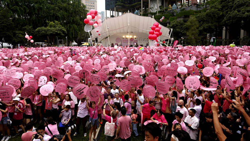 No discrimination against LGBTQ community at work, in housing and education here: Ong Ye Kung