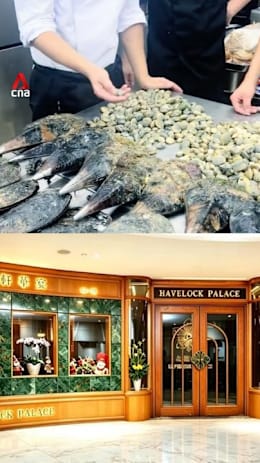 Havelock Palace apologises for cooking foraged seafood from Changi Beach 
