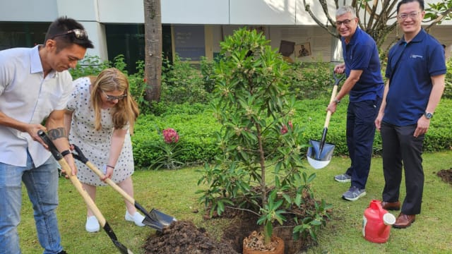 国大医院过去10年来 逾66%的肝脏移植来自活体移植